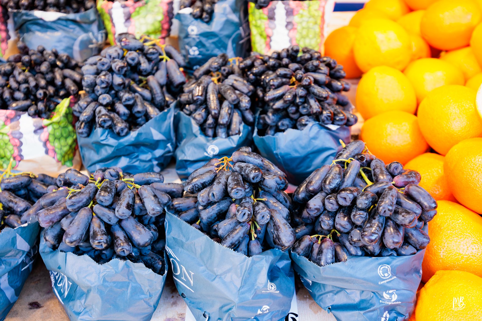 2024   Riga   MB 257